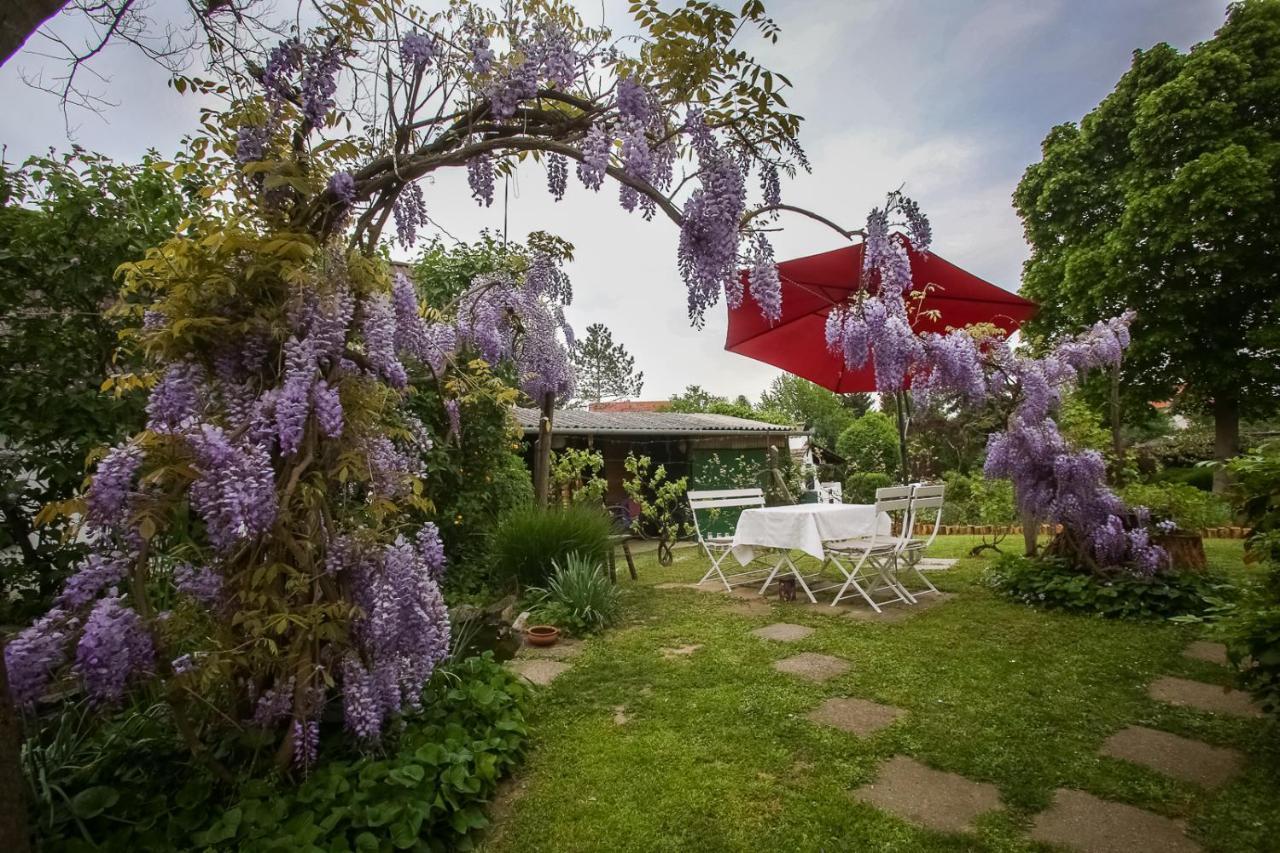Hellényi apartmanok Harkány Exterior foto